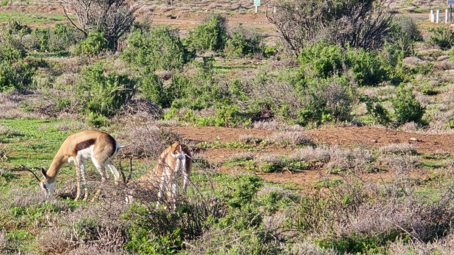 Commercial Property for Sale in Oudtshoorn Rural Western Cape